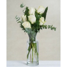 White as a Dove - 6 White Roses