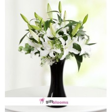 Elegant Swan White Lilium Arrangement