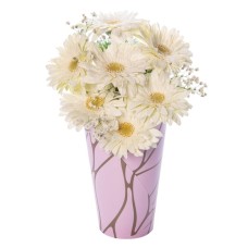 White Gerberas in Pink Decorative Box