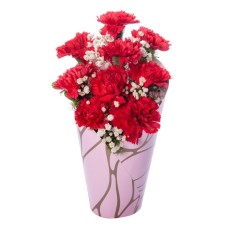 Red Carnations in Pink Decorative Box