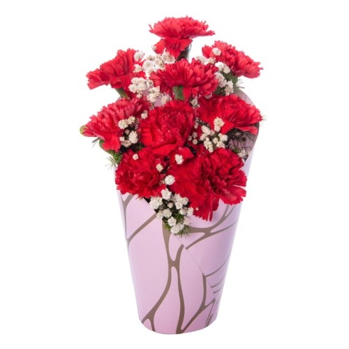 Red Carnations in Pink Decorative Box