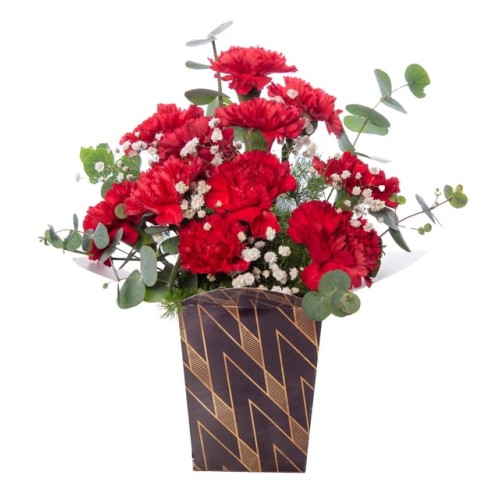 Red Carnations in Harlequin Box