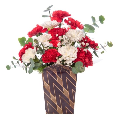 Red Carnation and White Carnation in Harlequin Box