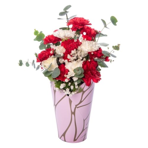 Red Carnation and White Carnation in Pink Decorative Box