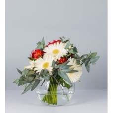 10 Gerberas blancas