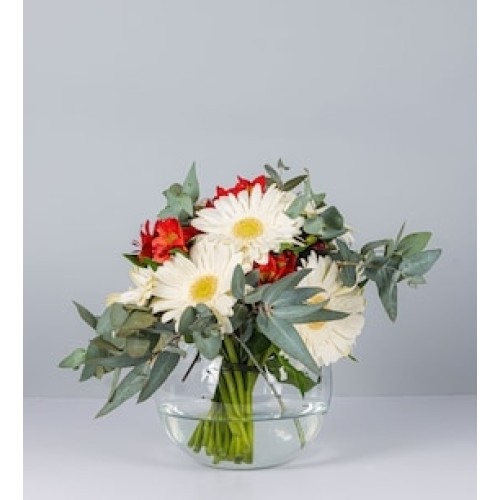 10 Gerberas blancas