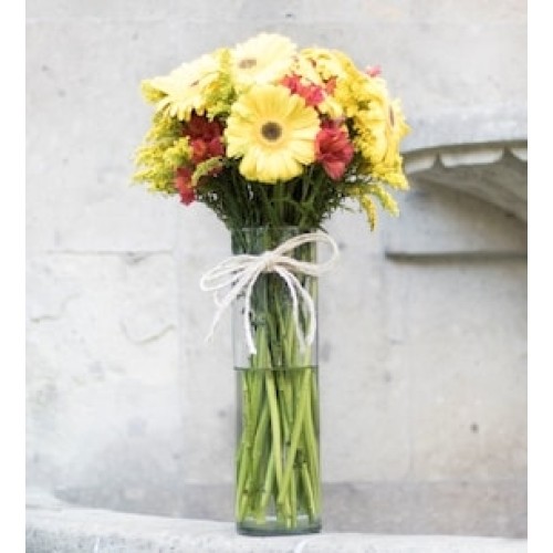 Gerberas amarillas y astromelias