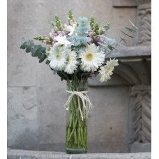 Gerberas blancas y perritos