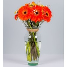 Gerberas Naranjas y margaritas