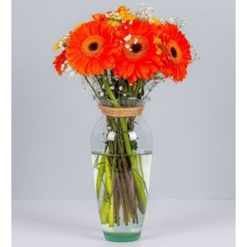 Gerberas Naranjas y margaritas