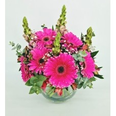 Gerberas fucsia y Perritos