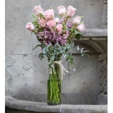 12 Rosas y perritos