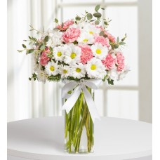 White Daisies and Pink Carnations in a Vase