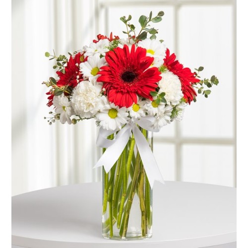 Gerberas, Carnations and Daisies - Noble Blossoms