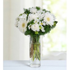Gerberas, Carnations and Daisies - White Bubble