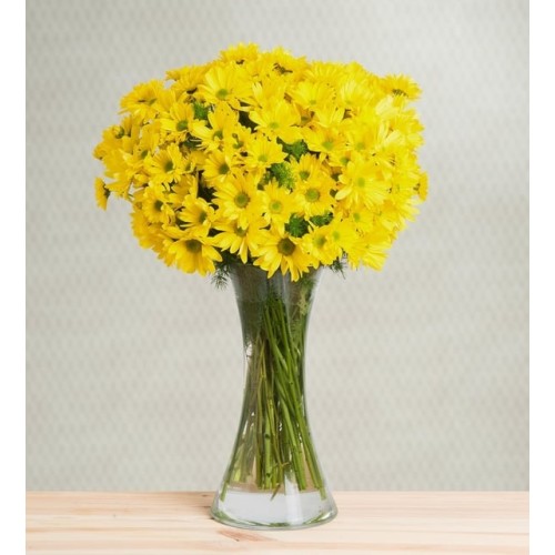 Sunny Day - Daisies