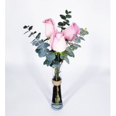 Pink roses in purple