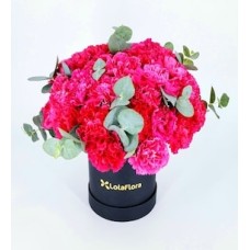 Fuchsia Carnations in Box
