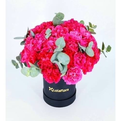 Fuchsia Carnations in Box