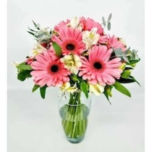 Pink Gerberas and Astromelias