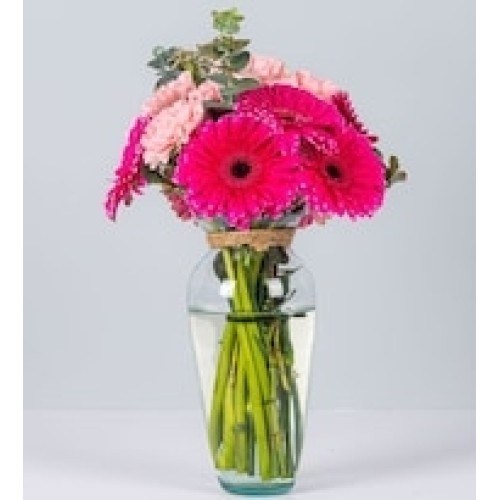 Fuchsia Gerberas and Pink Carnations