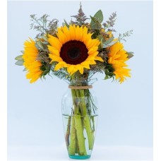 Sunflower Detail
