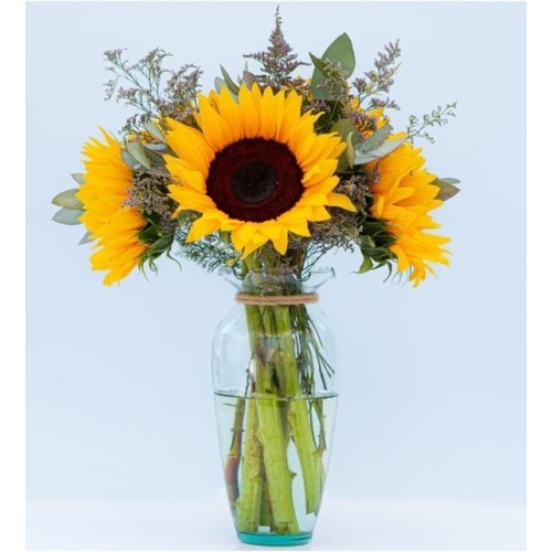 Sunflower Detail