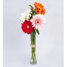 Colorful Gerberas Detail