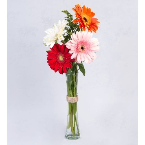 Colorful Gerberas Detail