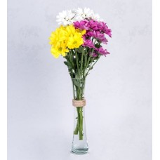 Daisies In Thin Vase