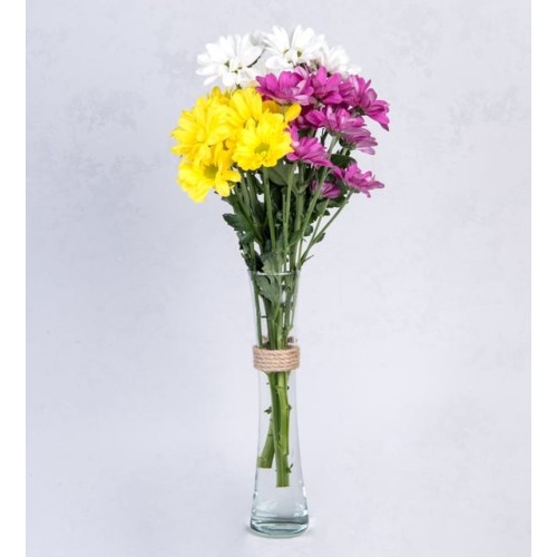 Daisies In Thin Vase