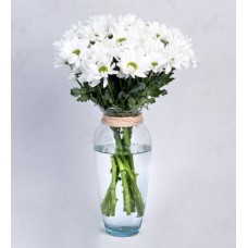 Arrangement Of White Daisies