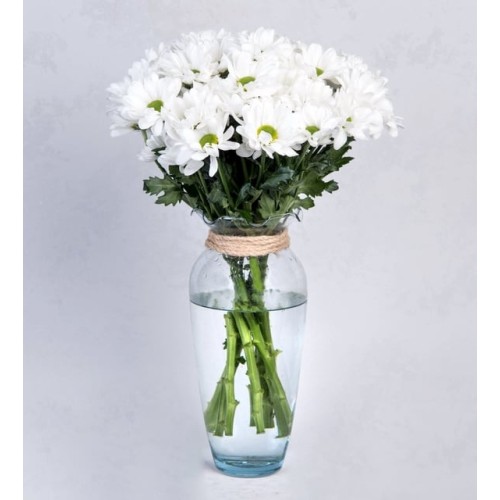 Arrangement Of White Daisies