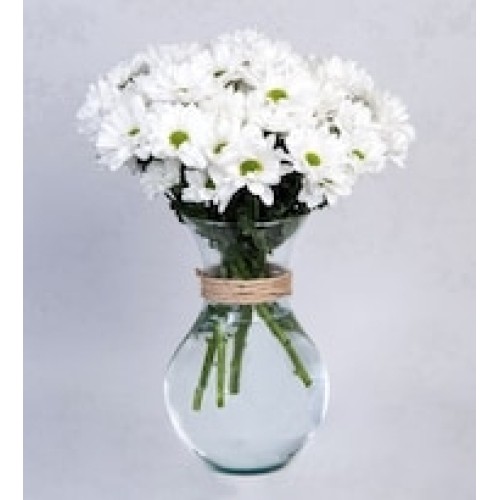 Detail of White Daisies