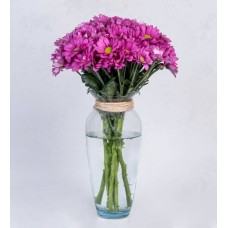 Purple Daisies in a Vase