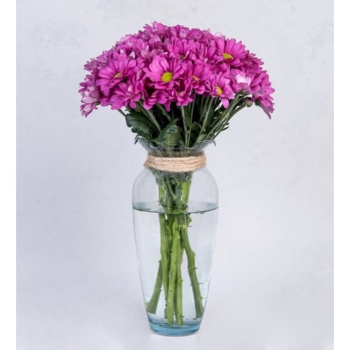 Purple Daisies in a Vase