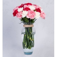 Mix Of Carnations