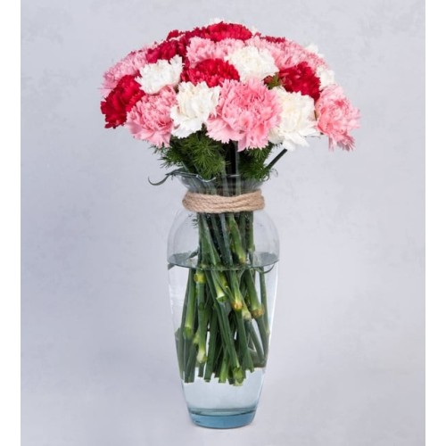 Mix Of Carnations