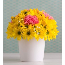 Flowerpot Of Yellow Daisies And Pink Carnation