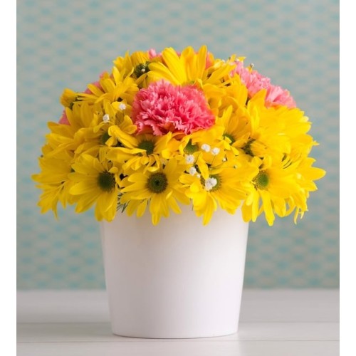 Flowerpot Of Yellow Daisies And Pink Carnation
