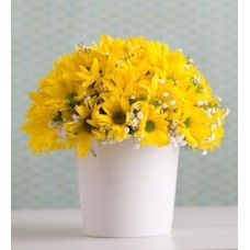 Yellow Daisies Pot