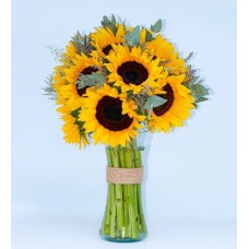 15 Sunflowers in a Vase