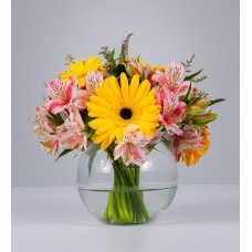 Yellow Gerberas And Astromelias Fishbowl