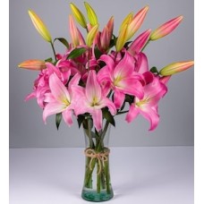 Stargazer in Vase