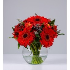 Fishbowl Red Gerbera and Astromelia