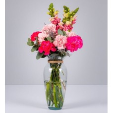 Pink And Fucsia Carnations With Perritos