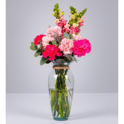 Pink And Fucsia Carnations With Perritos
