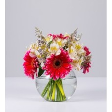 Fuchsia Gerbera and Astromelia in Fishbowl