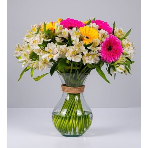 10 Yellow Gerberas