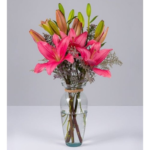 Detail Of Pink Lily